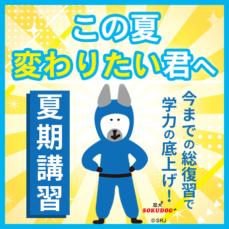 この夏、変わりたい君へ、今までの総復習で学力底上げ！夏期講習